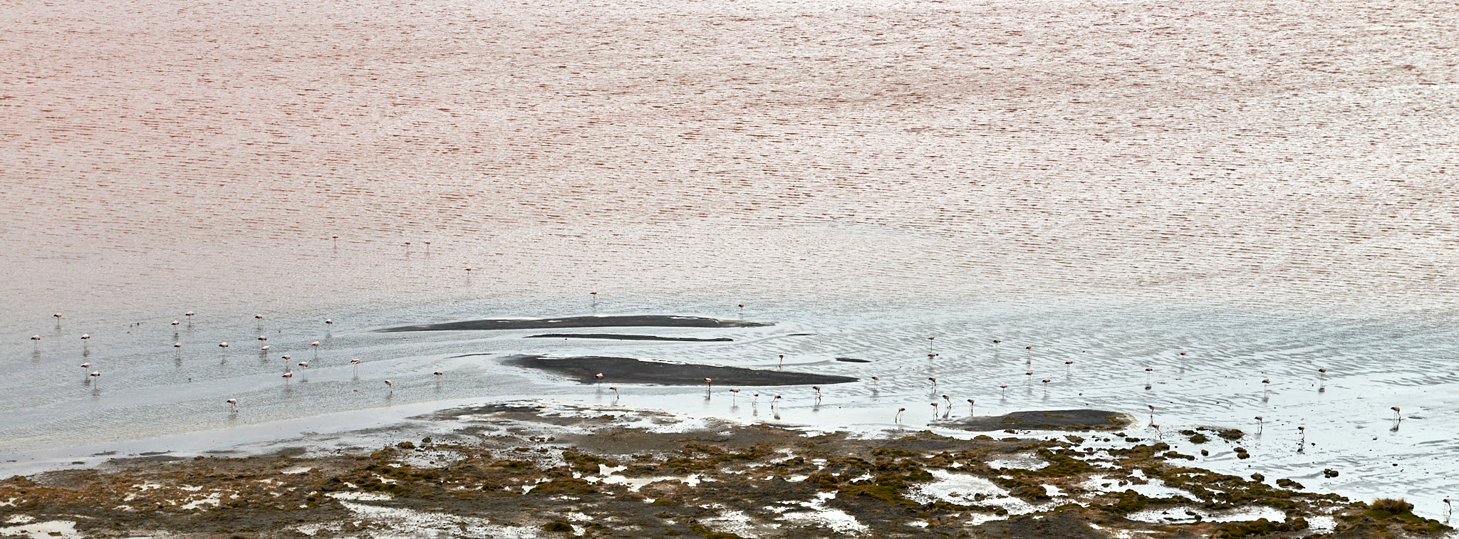 20200313 521 [볼리비아] 콜로라도 호수